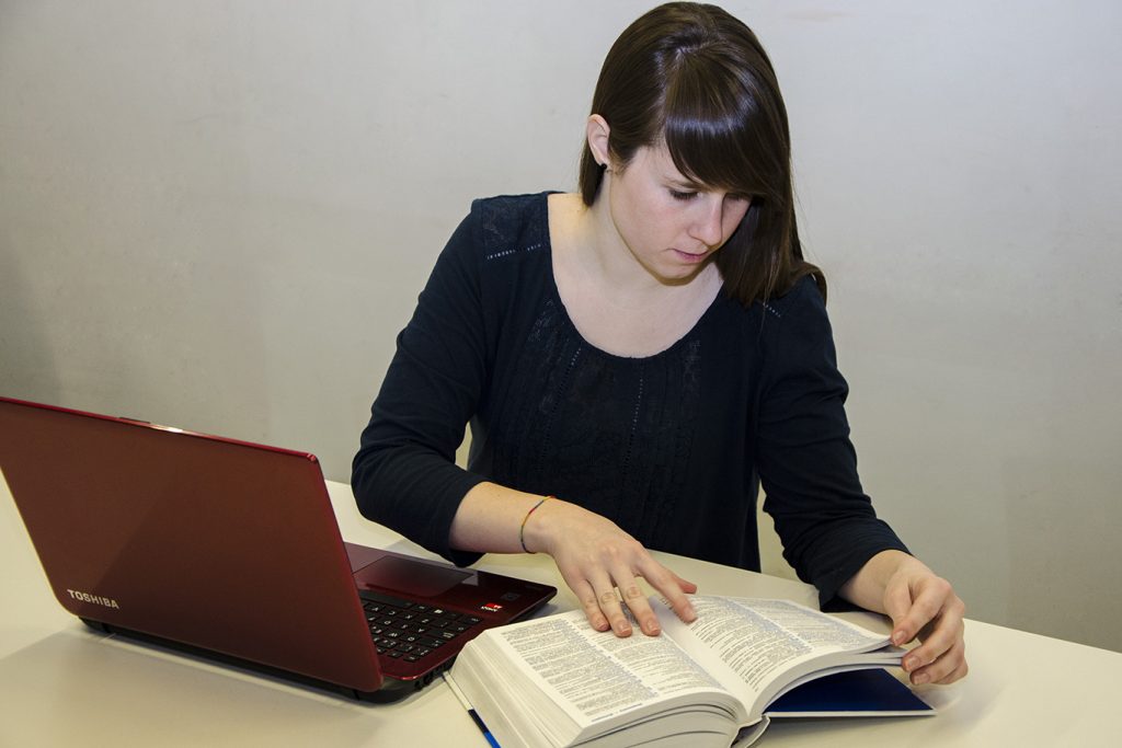 Traductor SEO Inglés francés catalán y alemán