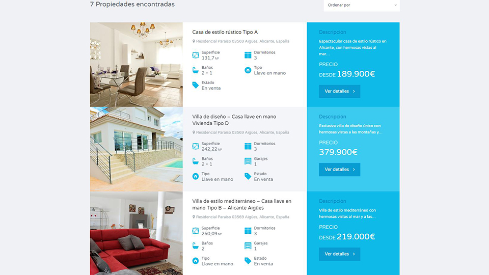 Diseño web de promoción inmobiliaria Noveno horizonte en Aigües con consultoría SEO