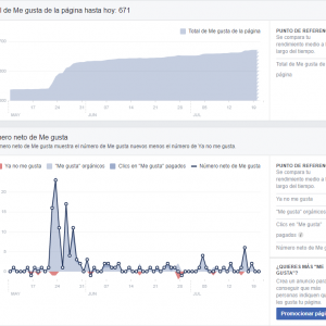 audiència campanya publicitat a Facebook