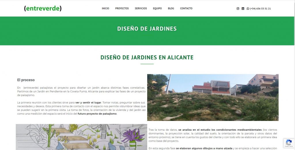 Diseño web de paisajismo para entreverde - Sàrsia Publicitat